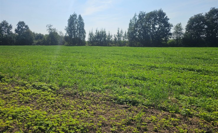 działka na sprzedaż - Pszczyna, Łowiecka