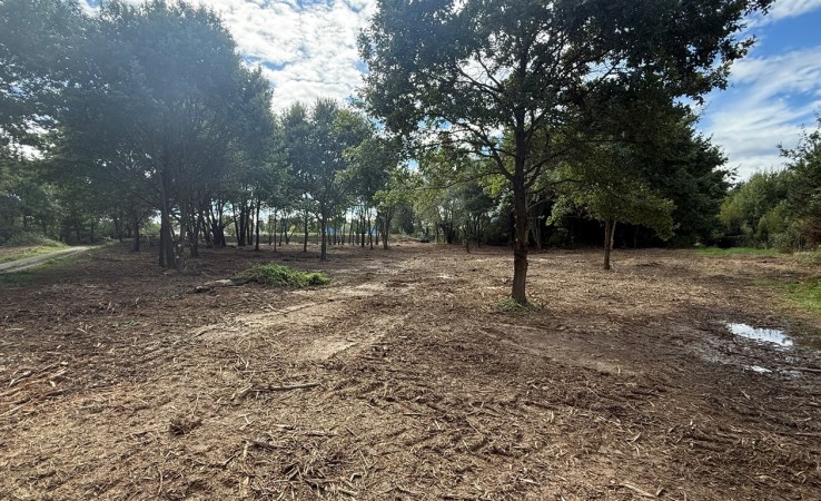 działka na sprzedaż - Goczałkowice-Zdrój, Azaliowa