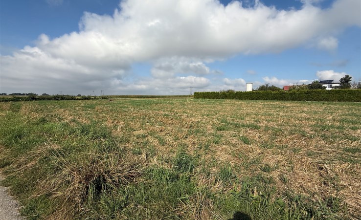 działka na sprzedaż - Pszczyna (gw), Wisła Mała, ptasia