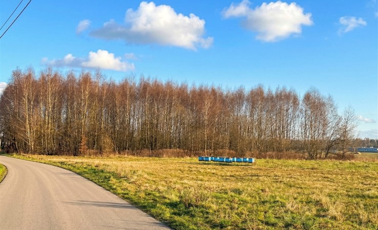 działka na sprzedaż - Miedźna, Wola, Stawowa
